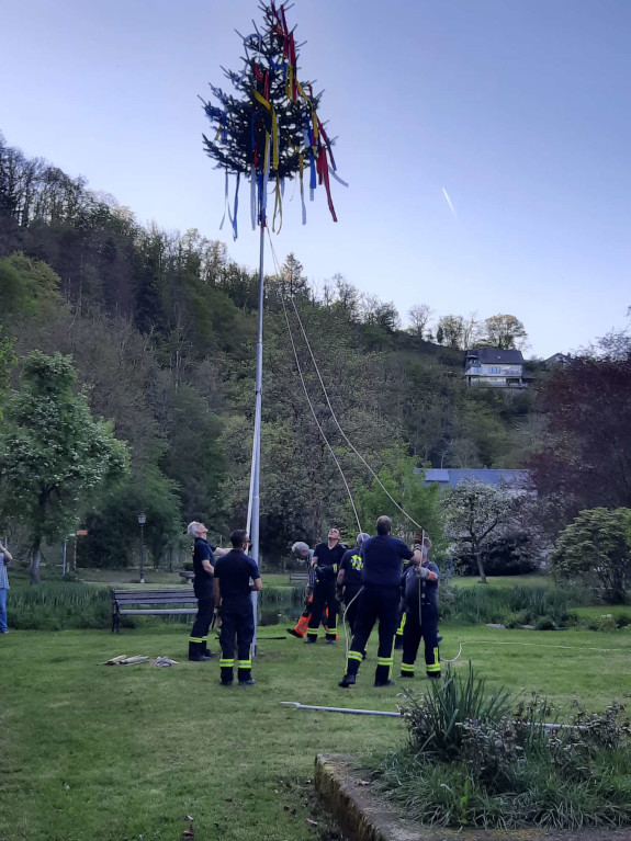 Maibaum klein 1