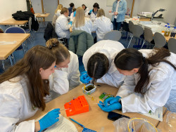SEG Biolab 2