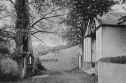 schwarzbildchen